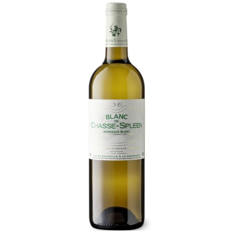 Blanc De Chasse Spleen - Bordeaux - wit - 2019 - 75cl