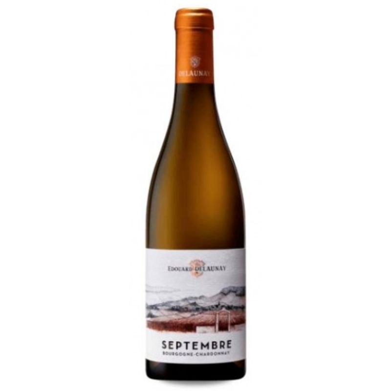 Edouard Delaunay - Septembre Chardonnay - Bourgogne Blanc
AOC - wit - 2020 - 75cl