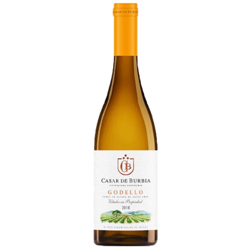 Casar de Burbia - Godello - Bierzo DO - wit - 2022 - 75cl