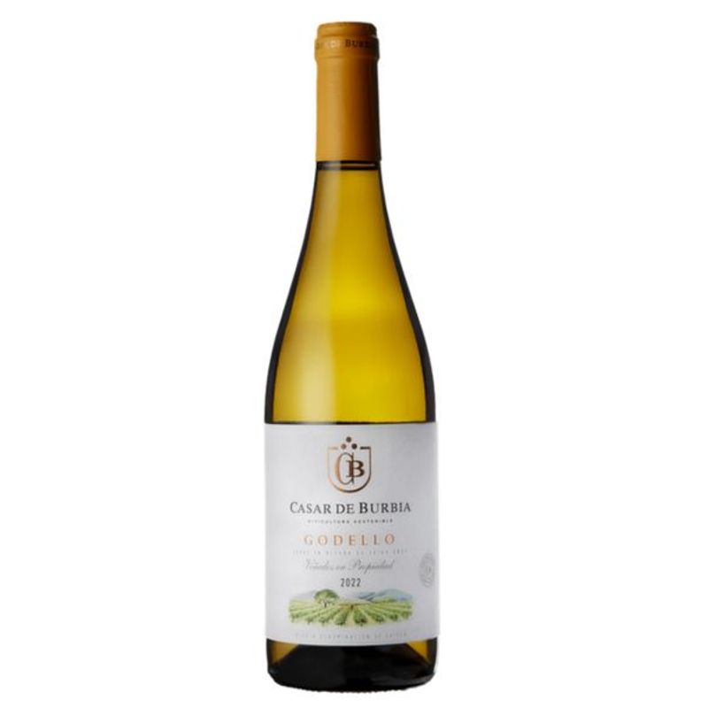 Casar de Burbia - Valdepiñeiro - Bierzo D.O. - wit - 2023 - 75cl