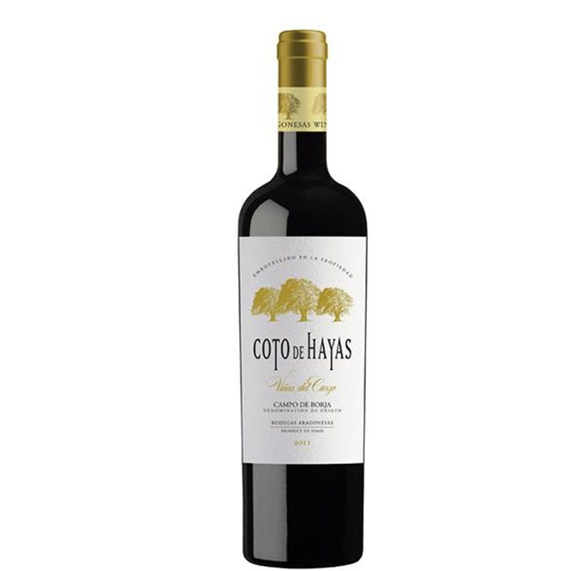 Bodegas Aragonesas - Coto de Hayas Reserva Vinas del Cierzo - Campo de Borja D.O. - rood - 2021 - 75cl