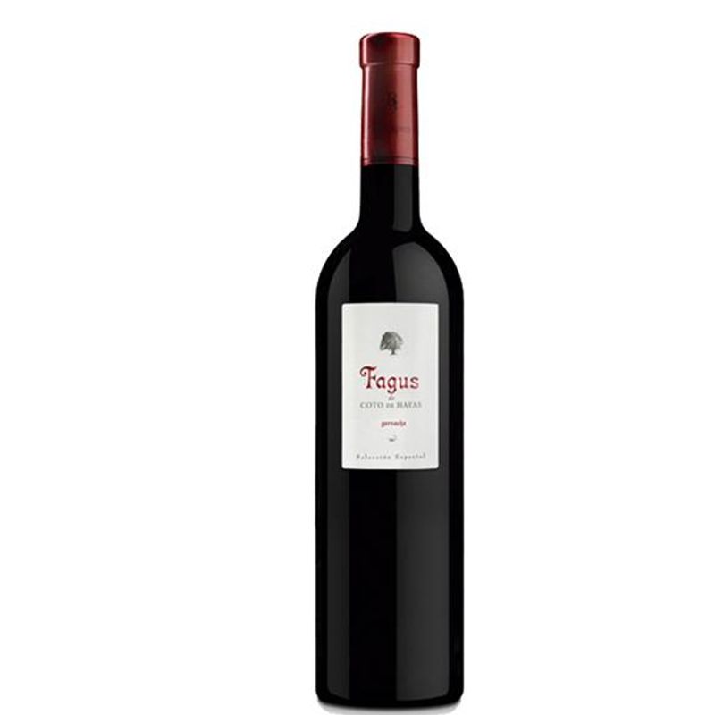Bodegas Aragonesas - Fagus - Campo de Borja D.O. - rood - 2022 - 75cl